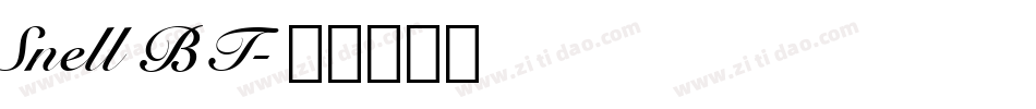 Snell BT字体转换